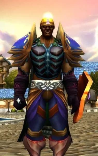 paladin 70
