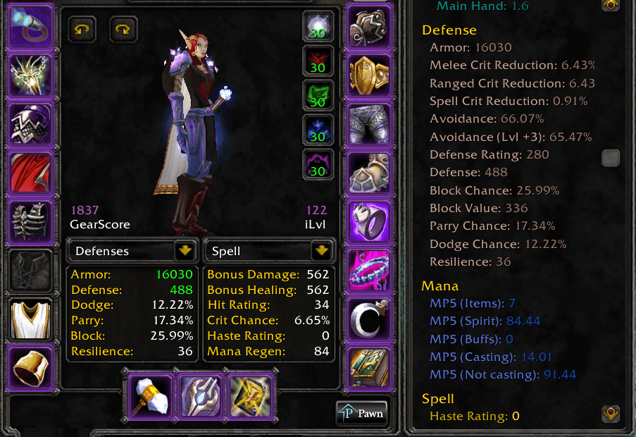 Prot Paladin
